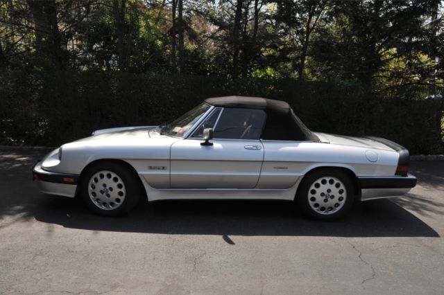 1986 Alfa Romeo Spider Veloce/Quadrifoglio Edition