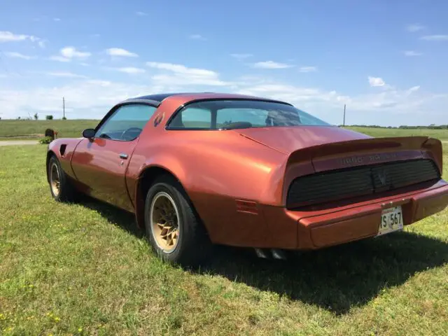 1980 Pontiac Trans Am