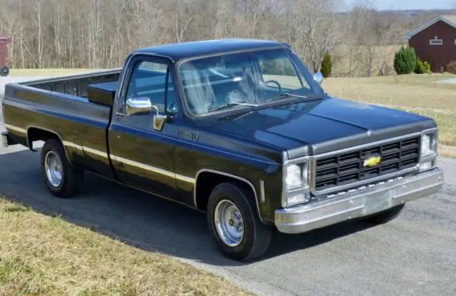 1979 Chevrolet C/K Pickup 1500 Custom Deluxe