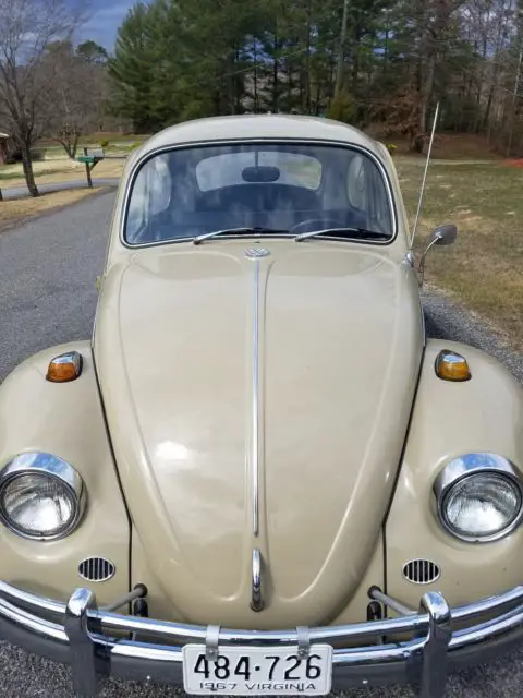 1967 Volkswagen Beetle - Classic