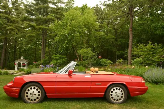 1991 Alfa Romeo Spider