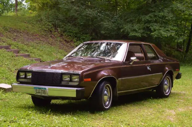 1979 AMC Other