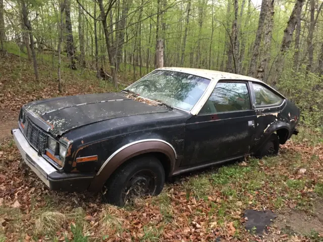 1983 AMC EAGLE