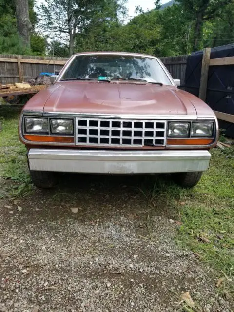 1982 AMC Other