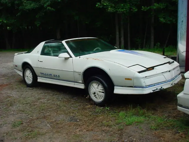 1984 Pontiac Trans Am