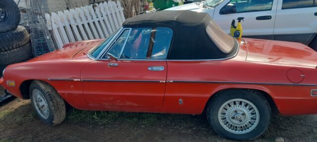 1978 Alfa Romeo Spider