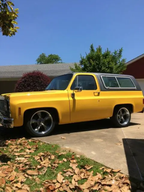 1979 Chevrolet C-10