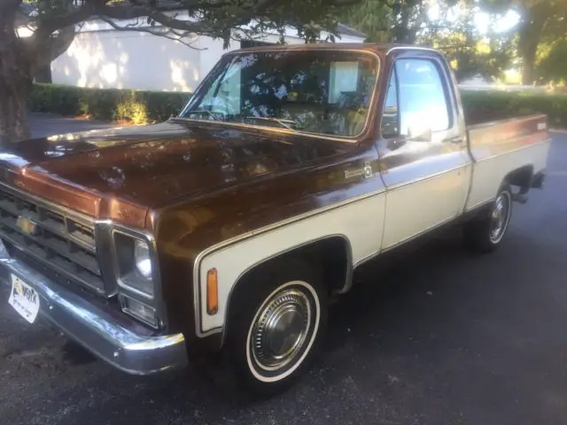 1979 Chevrolet C-10 BONANZA