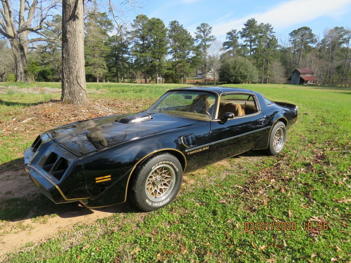 1979 Pontiac Trans Am Firebird