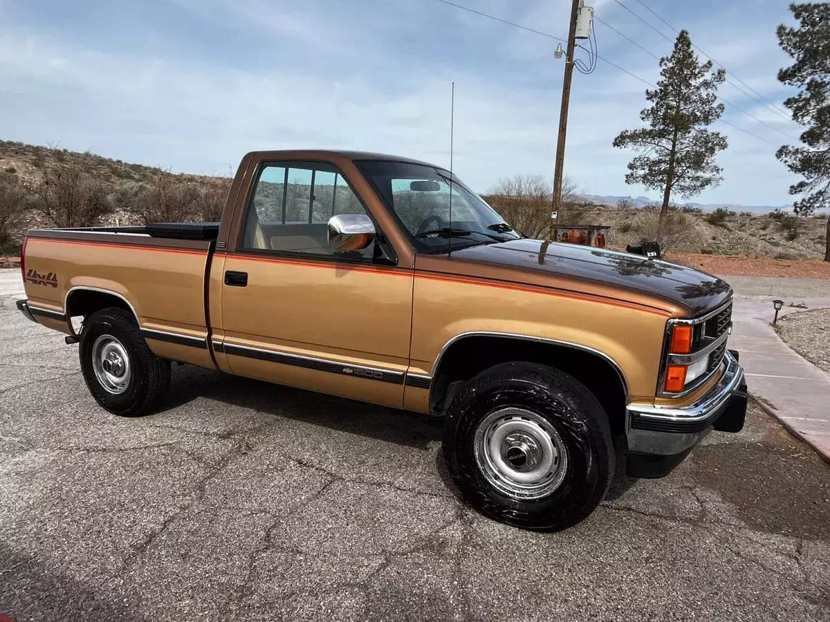 1989 Chevrolet 1/2 Ton Pickup