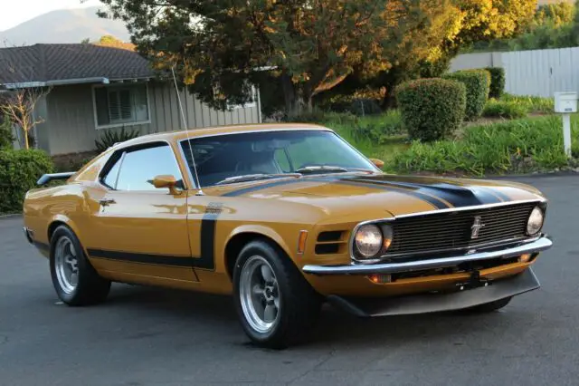 1970 Ford Mustang BOSS 302