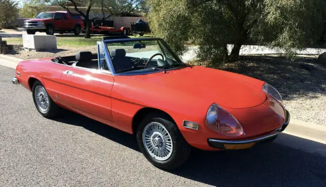 1973 Alfa Romeo Spider