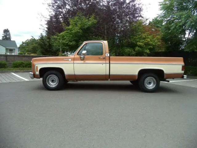 1980 Chevrolet C/K Pickup 1500