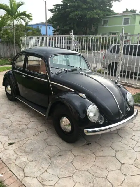 1959 Volkswagen Beetle - Classic