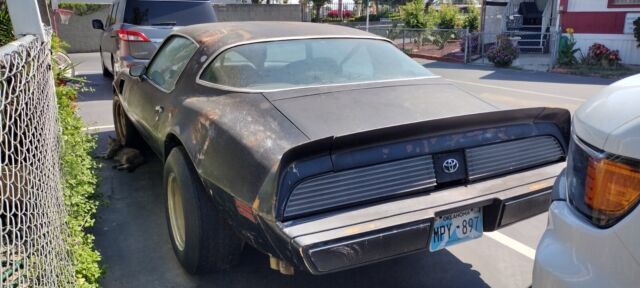 1979 Pontiac Trans Am WS6