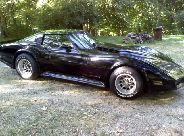 1979 Chevrolet Corvette MIRRORED T-TOPS