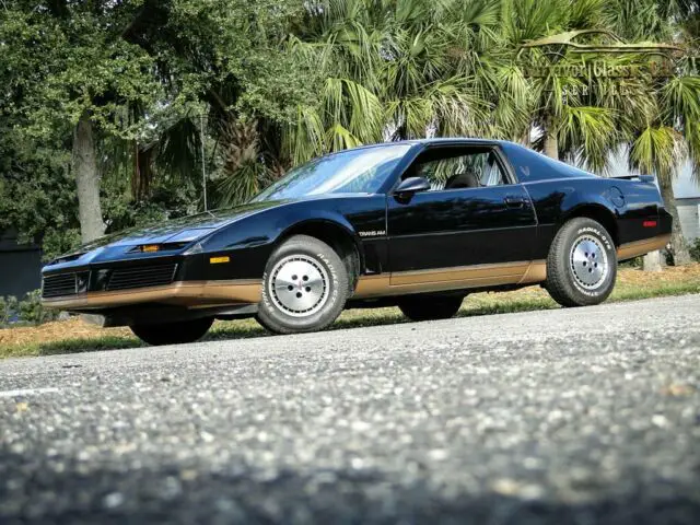 1982 Pontiac Firebird Trans AM