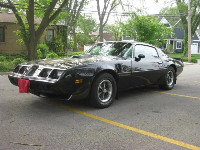 1979 Pontiac Trans Am -ONE OWNER GEM-FACTORY BLACK BIRD-