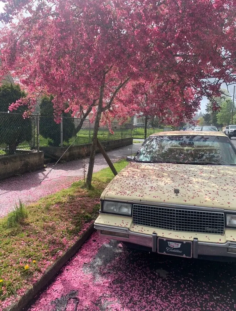 1987 Cadillac DeVille