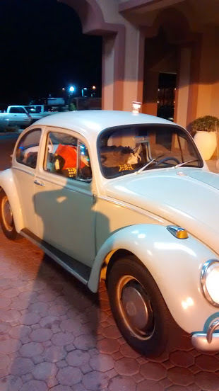 1966 Volkswagen Beetle - Classic