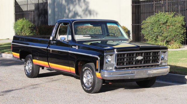1979 Chevrolet Cheyenne 10, One Owner, 52k Orig Miles, 100% Rust Free