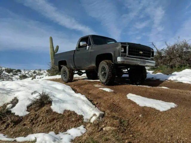 1979 Chevrolet C/K Pickup 1500