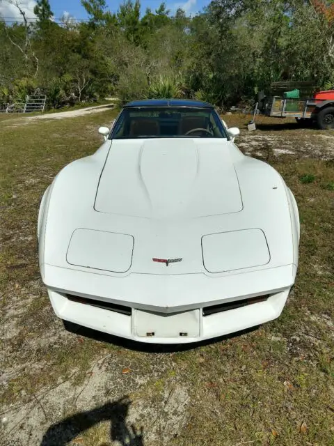 1981 Chevrolet Corvette