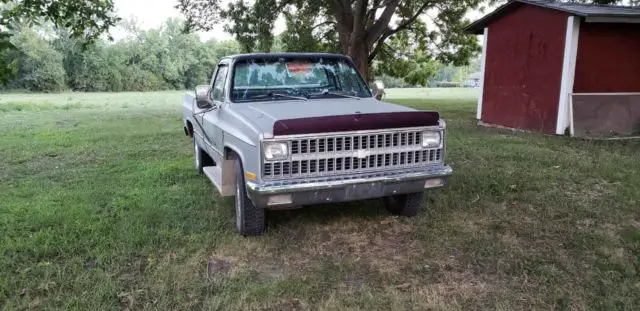 1982 Chevrolet Other Pickups Silver