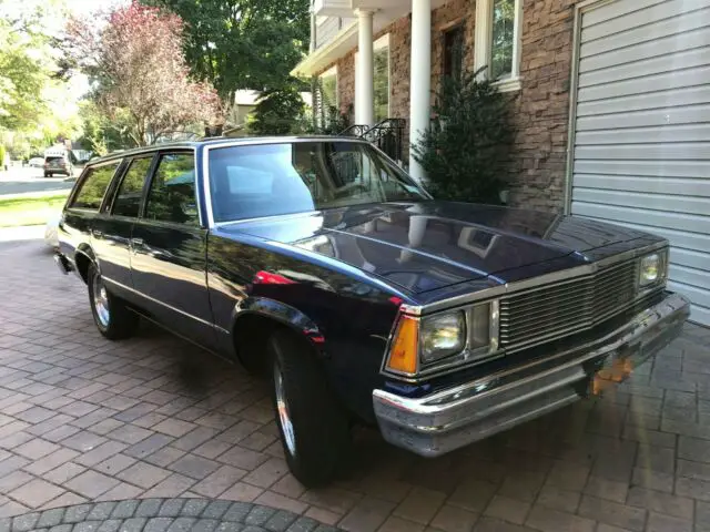 1981 Chevrolet Malibu wagon