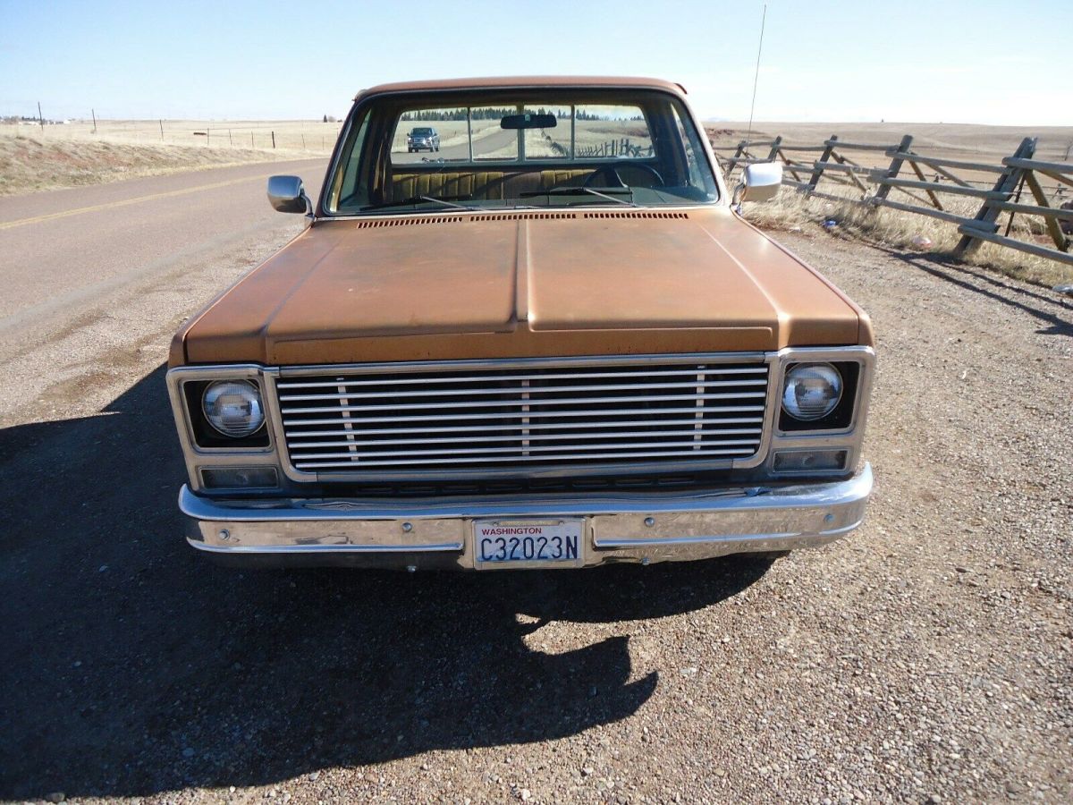 1979 Chevrolet C-10 Scottsdale