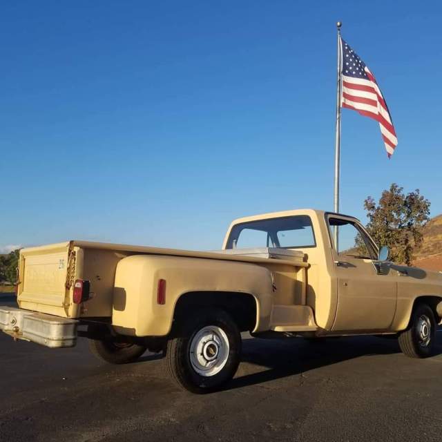 1978 Chevrolet C-10