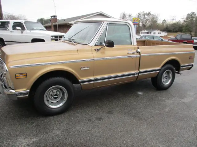 1969 Chevrolet C-10 vinyl