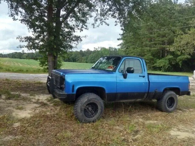 1977 Chevrolet C/K Pickup 1500