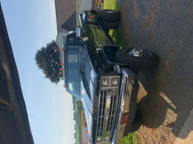 1979 Chevrolet Other Pickups silverado