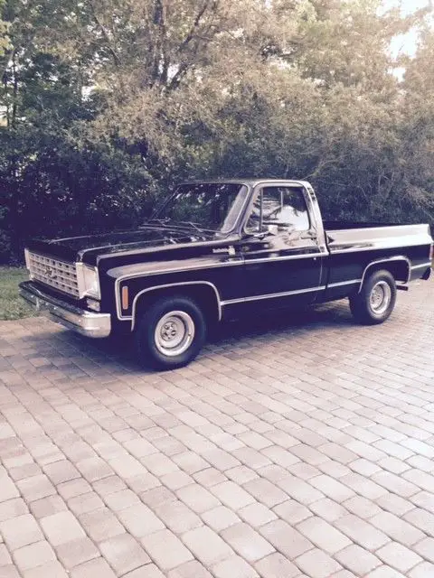 1976 Chevrolet Other Pickups Shortbed