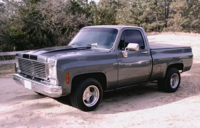 1976 Chevrolet C/K Pickup 1500