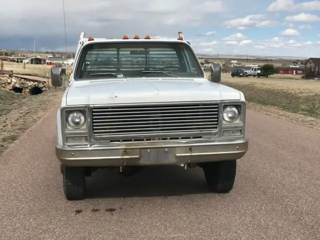 1979 Chevrolet Other sliverado