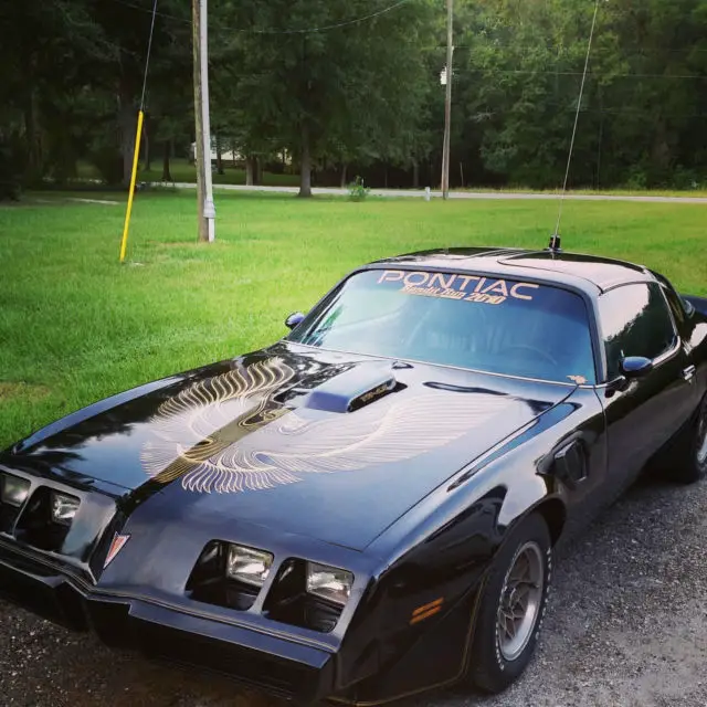 1981 Pontiac Trans Am