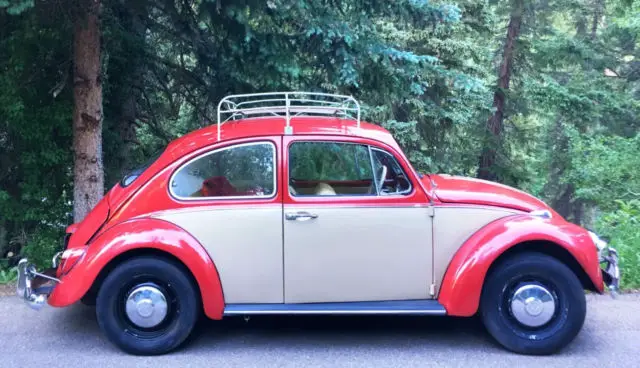 1967 Volkswagen Beetle - Classic