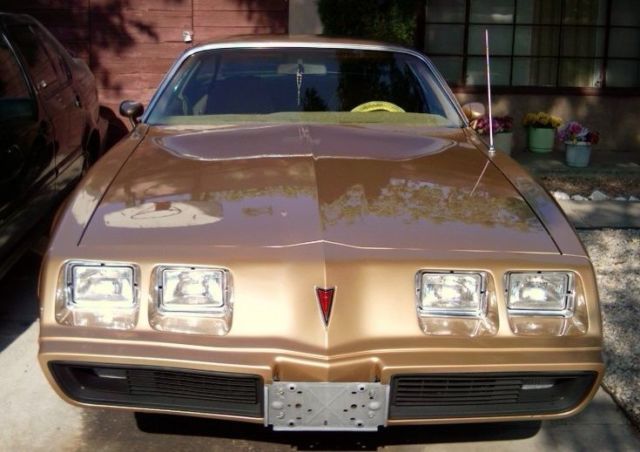 1981 Pontiac Firebird