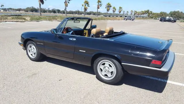 1986 Alfa Romeo Spider veloce