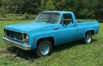 1973 Chevrolet Other Pickups