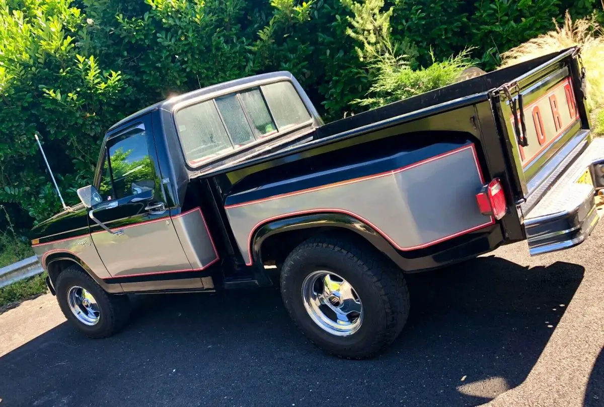 1981 Ford F-150