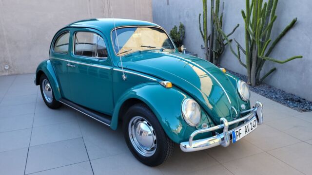 1964 Volkswagen Beetle - Classic