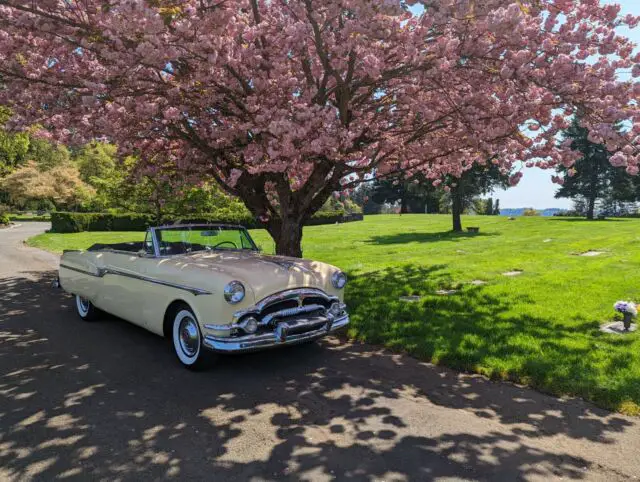 1953 Packard 300