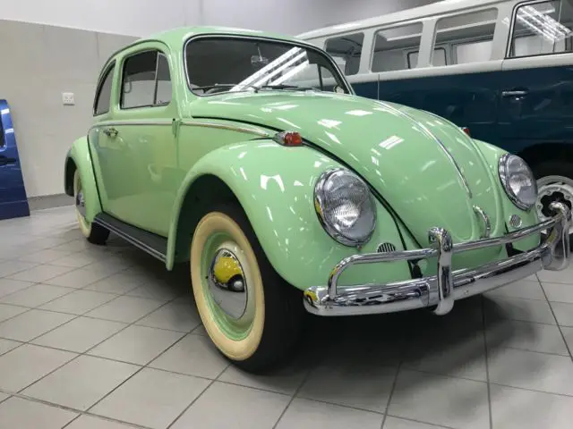 1950 Volkswagen Beetle - Classic