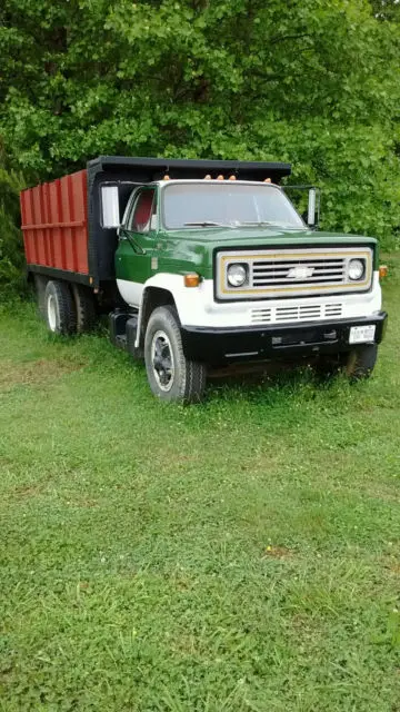 1976 Chevrolet Other Pickups