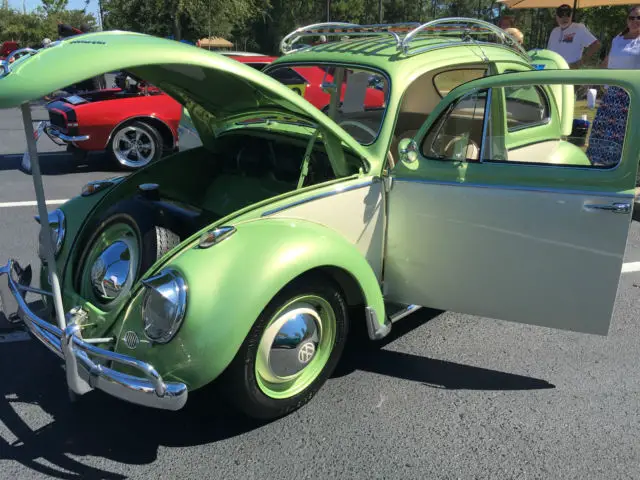 1959 Volkswagen Beetle - Classic