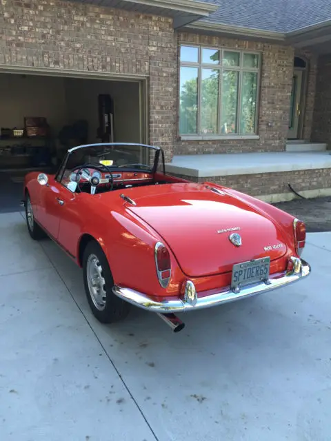 1965 Alfa Romeo Spider