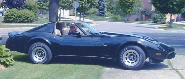 1979 Chevrolet Corvette no trim